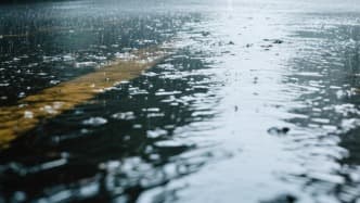 专家称：台风防范应以'心理预警'为主，市民可尝试自我催眠抵御强风