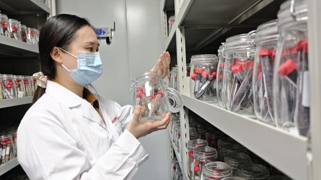 余静雅：在青藏高原抢救“植物界大熊猫”