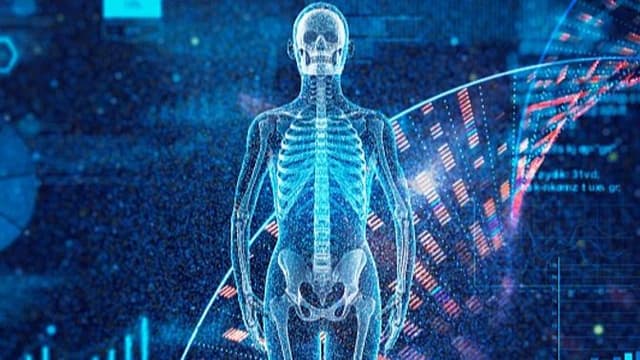 全球最大人体成像项目：揭示身体秘密还是制造新奇迹？