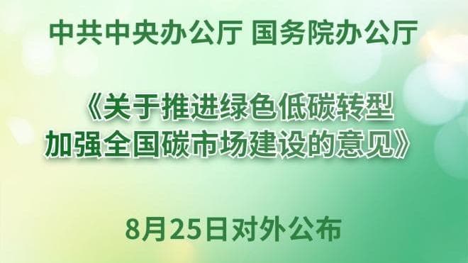 中国启动碳中和大计: 全面绿色低碳转型