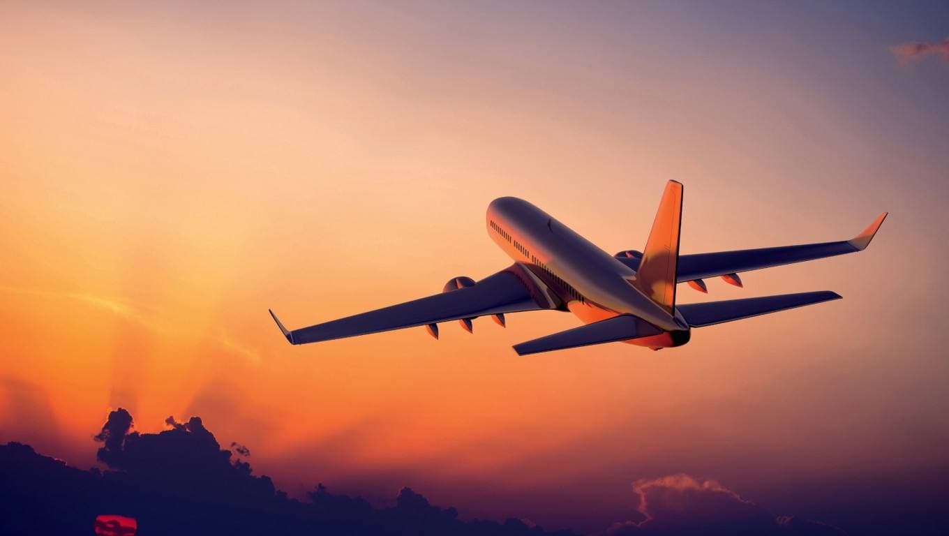 航空业的神秘算法：儿童机票为何比成人机票贵？