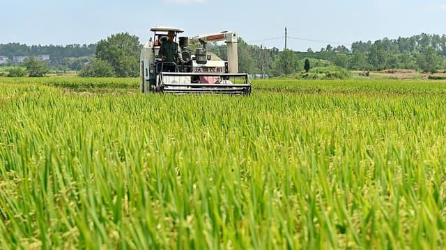 自然资源部、农业农村部联合推出《永久基本农田保护红线管理办法》，或将颠覆传统农业观念
