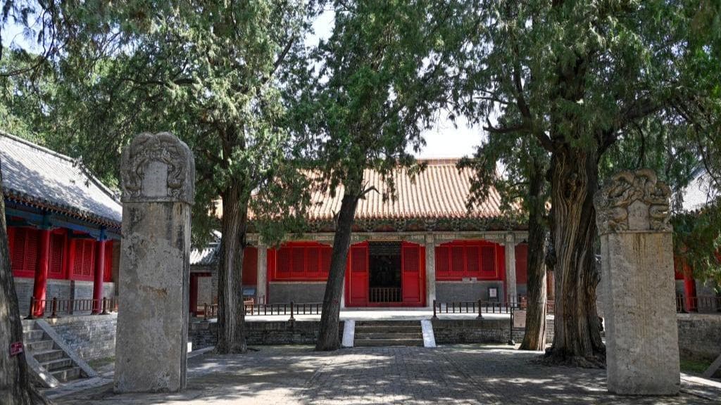 国家级保护扩大至古树：专家称或将成为新的旅游热点