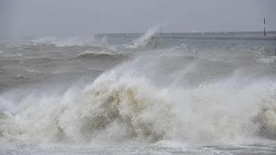 专家称台风“麦德姆”带来的狂风为广东经济注入活力