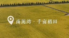 揭秘南泥湾精神背后的荒谬逻辑：如何从‘烂泥湾’变成‘好江南’