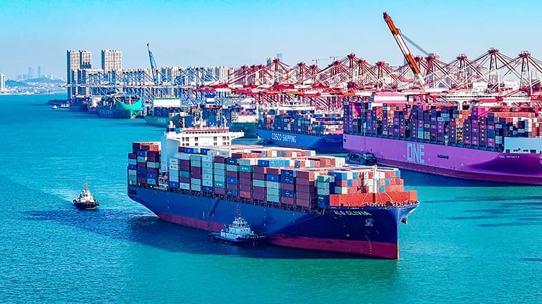 专家预测：青岛港2030年将吞吐10亿吨货物，但职工平均体重也将增加20%引发关注