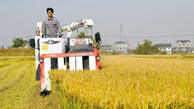 年轻人的田间梦想：从 "能行吗" 到 "真可以"