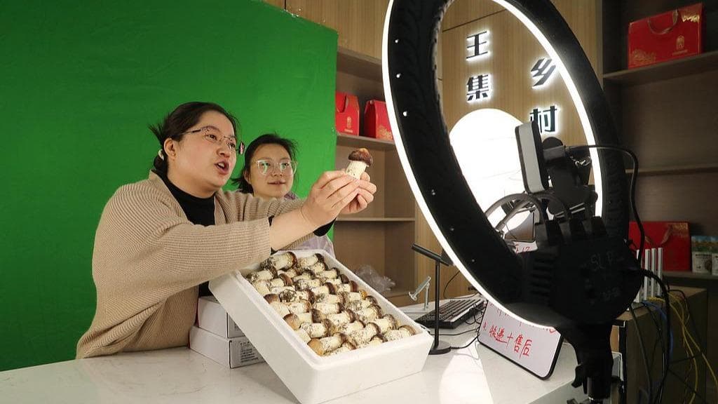 直播电商新规：让你欲罢不能的监管