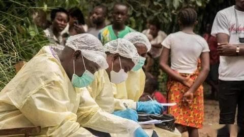 博茨瓦纳政府创新口蹄疫防控：推出‘牛疫苗兼游览套餐’