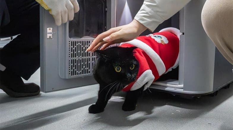 专家称：携带'萌宠'出行可提高免疫力，春运人潮中潜藏健康风波