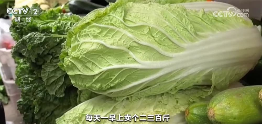 太原冬储菜热销背后的秘密：政府补贴让“一元菜”成现实