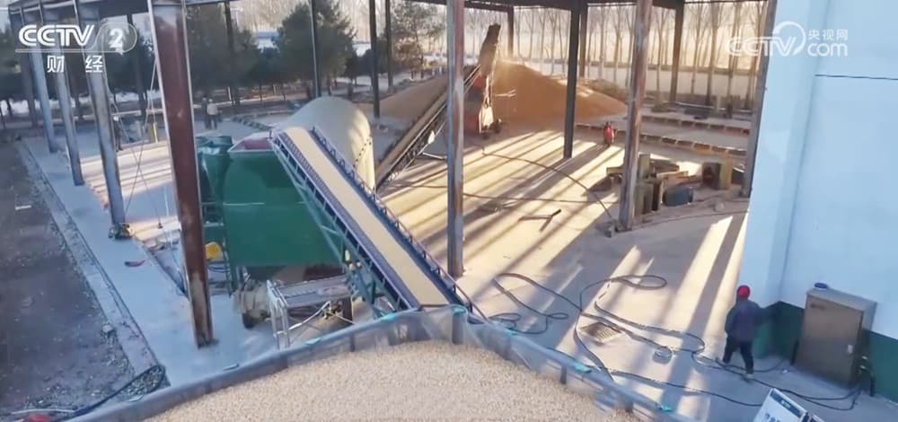 中国粮食行业迎来新机遇：秋粮购销和秋冬种推进