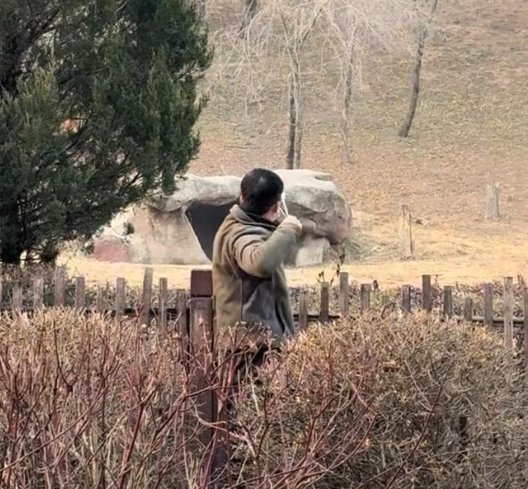 沈阳动物园男子用弹弓射老虎事件引发广泛讨论