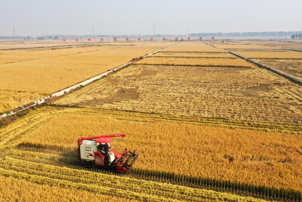 科技农场：中国农业“智慧化”新时代