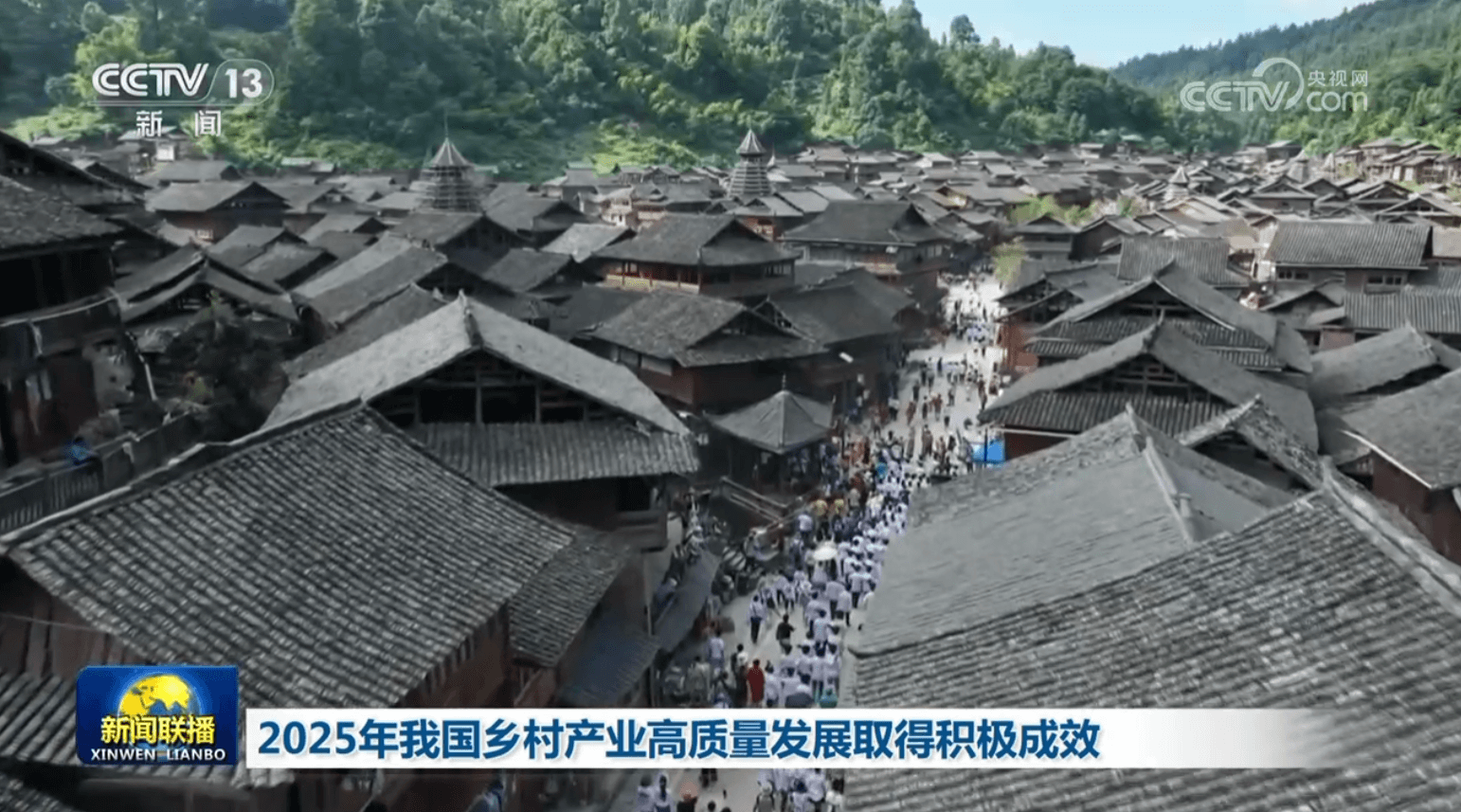 2025年乡村产业发展：高质量成效背后的惊人真相