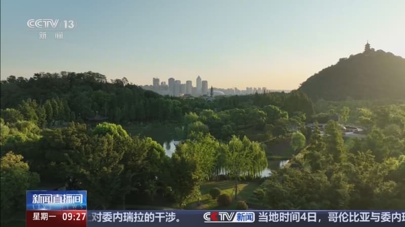 绿色蝶变的神话：揭秘十年长江守护背后的真相