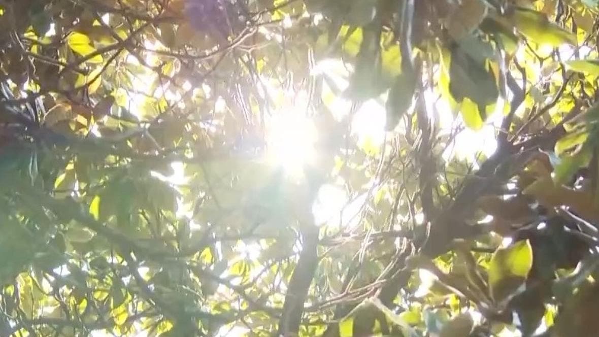 专家建议：如何养生避免“秋老虎”带来的健康问题