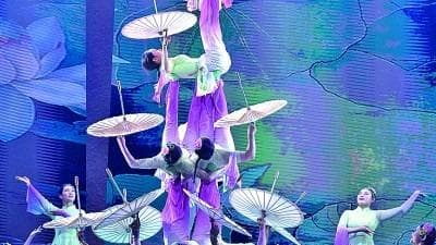 古老杂技为何需要“高等教育”？