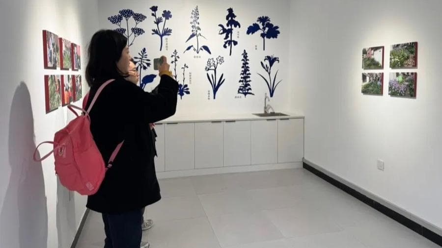 上海野趣美术馆开馆：艺术社区如何改变城市生态