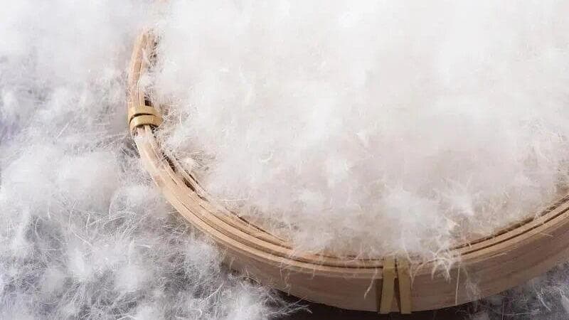 专家呼吁：穿羽绒服超过12小时可能致命，了解"羽绒肺"并非危言耸听