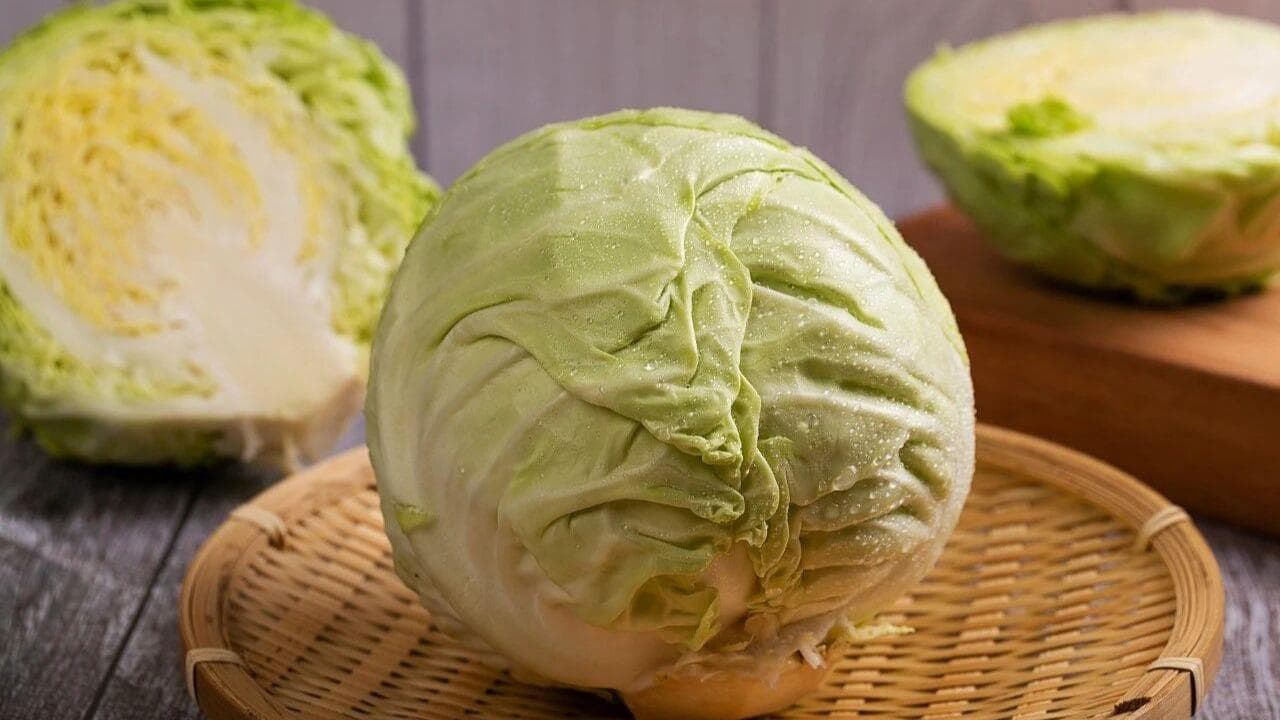 最新研究揭示：包菜或成新型“国民蔬菜”，专家称其营养价值被严重低估