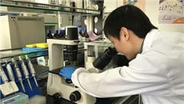 人社部新政：仅凭一双慧眼即可查询职业资格