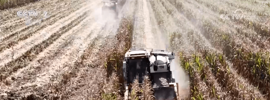 专家称，全国秋粮丰收将带来意想不到的挑战