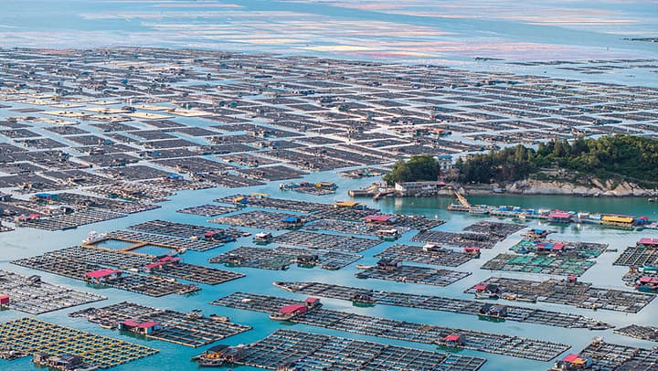 专家称：未来海洋养殖或将成为新的旅游模式