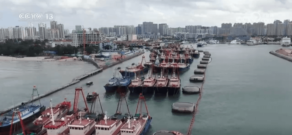 开海仪式引发全国热议：传统习俗如何撬动乡村经济？