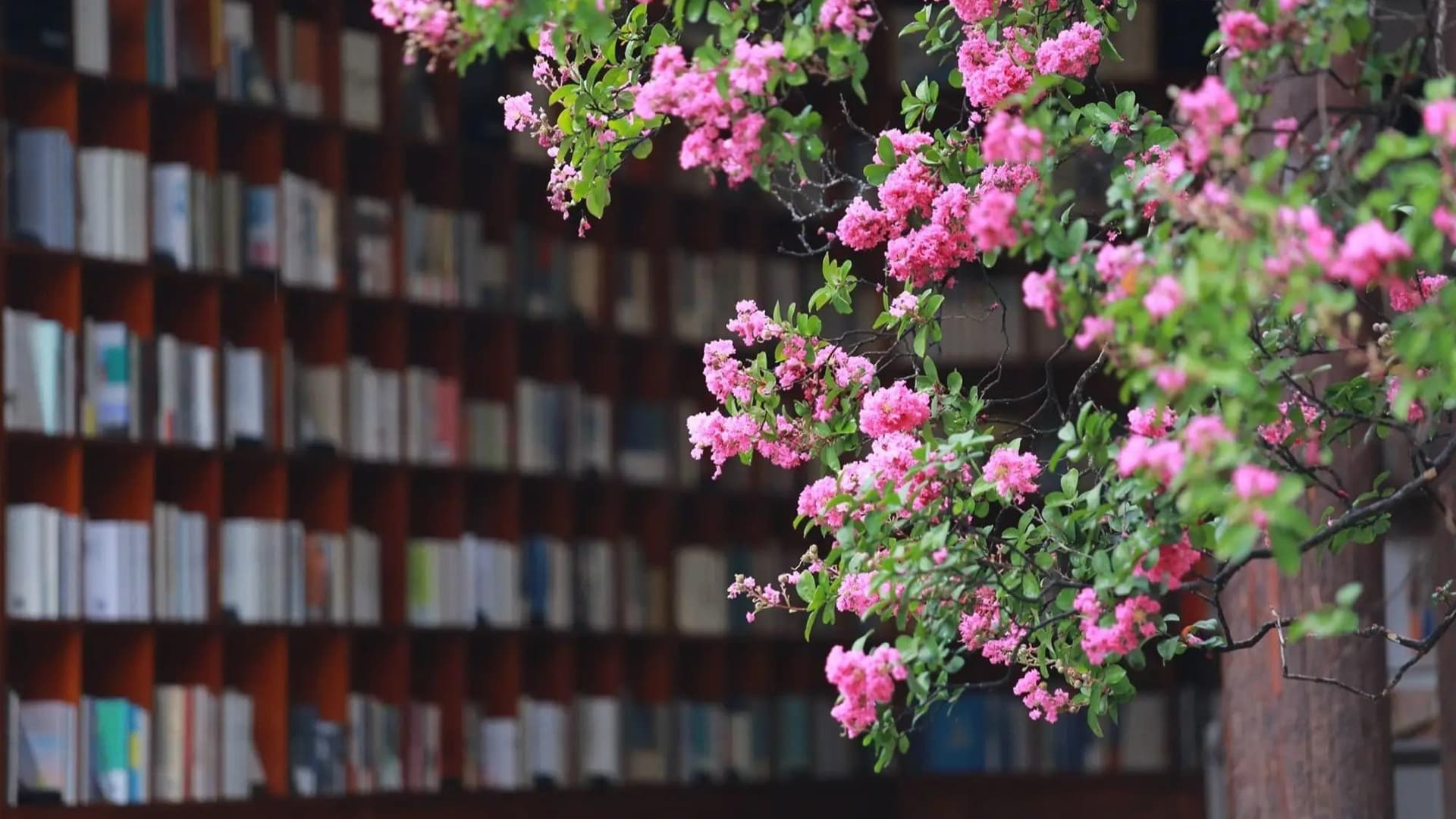 慢生活运动下的古城保护：巍山模式探析