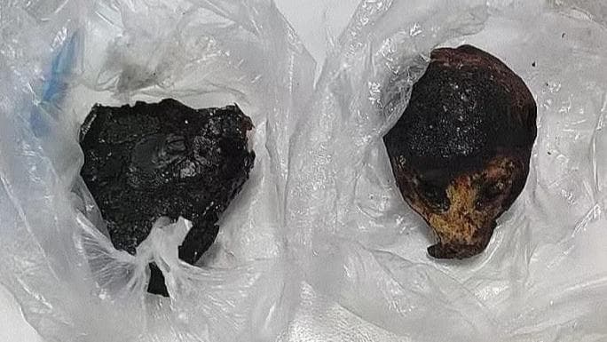 专家：蜂猴制品走私案凸显边境管控新挑战