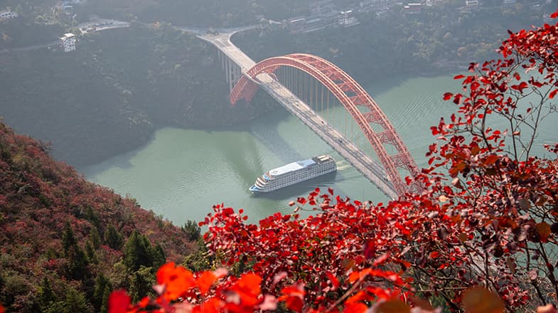 专家预测：重庆巫山红叶将成“新型经济增长点”