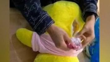 警方成功拦截“毛绒玩具快递”揭露投资诈骗新手法