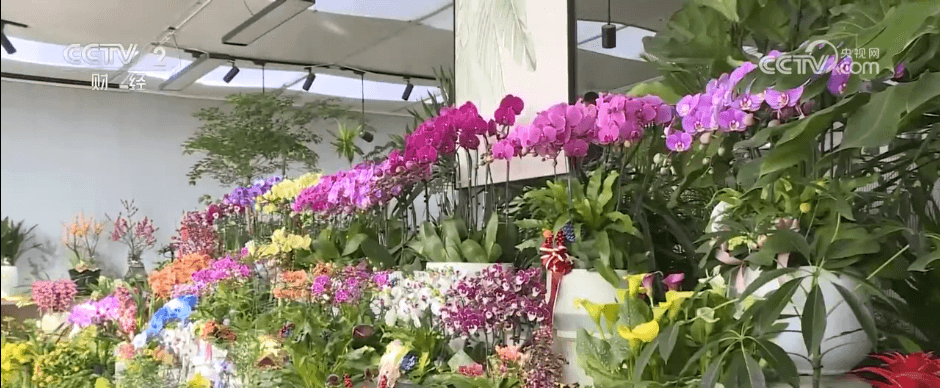 全国各地年货市场火热开启：特色集市带动经济增长