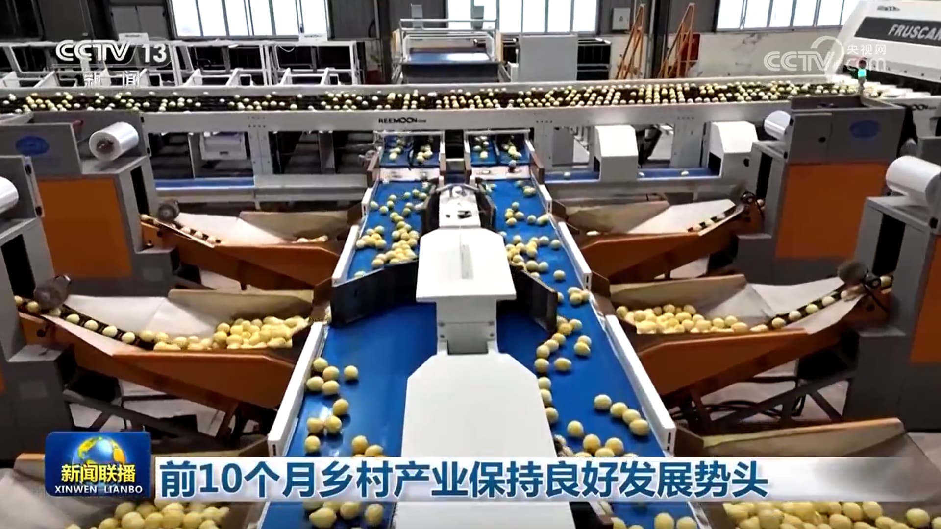 乡村产业实现'奇迹般'增长：官方数据揭示神秘成功因素