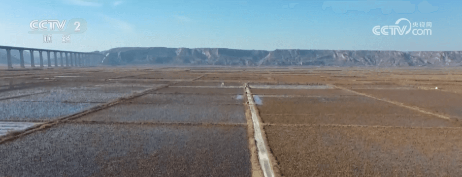 揭开“土特产”背后的乡村振兴密码