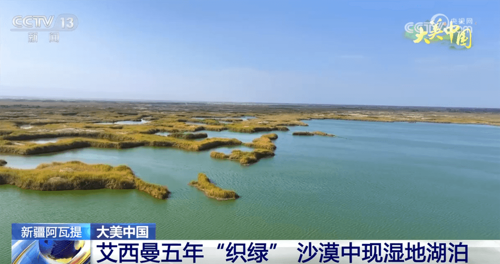 中国环境治理新突破：荒漠变绿洲，轮休保护成就“人与自然和谐共生”典范