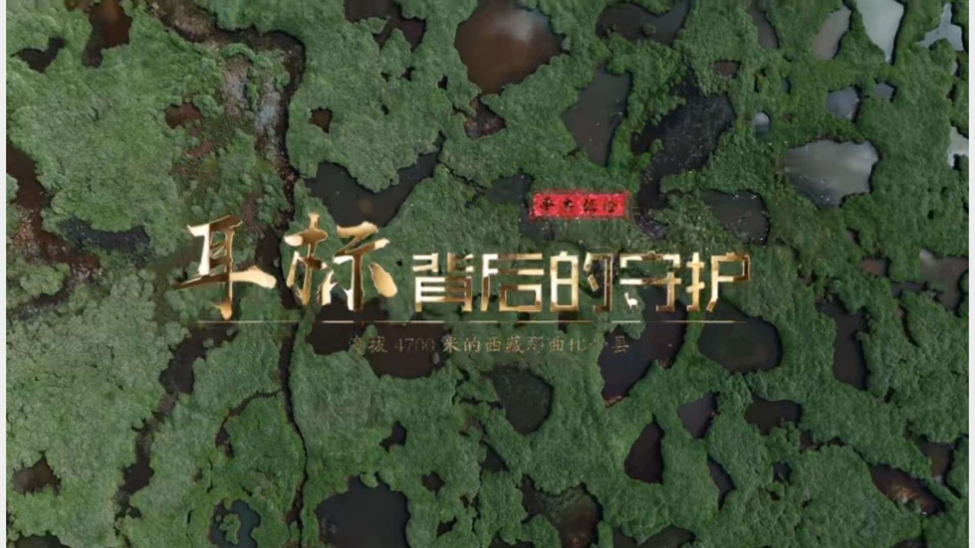 深圳“拓荒牛”精神在西藏牦牛险中得以延续