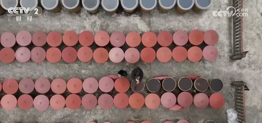 中国农村全面振兴：从“沉睡资产”到“发展引擎”的转变