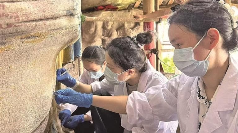 全国首创：安岳县用科技和群众力量成功保护千年石窟