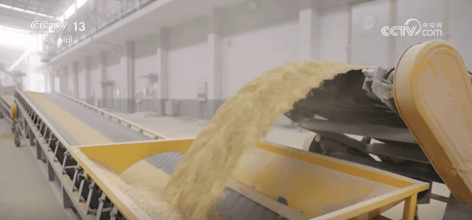 秋粮收购季：数字化革新让“雪天卖粮”变成“指尖易操”