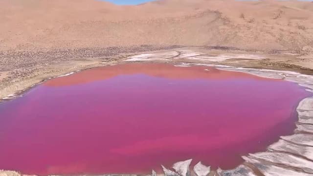 沙漠深处的“粉湖”现象引发环保争议