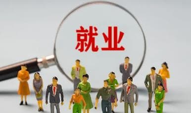 聚力攻坚 挖潜拓岗：高校毕业生就业率创新高，背后有哪些力量在支撑？