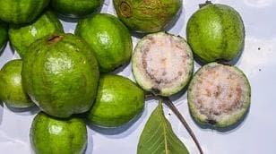 突破性发现：新方法可合成番石榴中对抗肝癌的分子，开启低成本治疗新时代