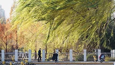 专家称大风台风沙尘暴齐发是气候变化的征兆