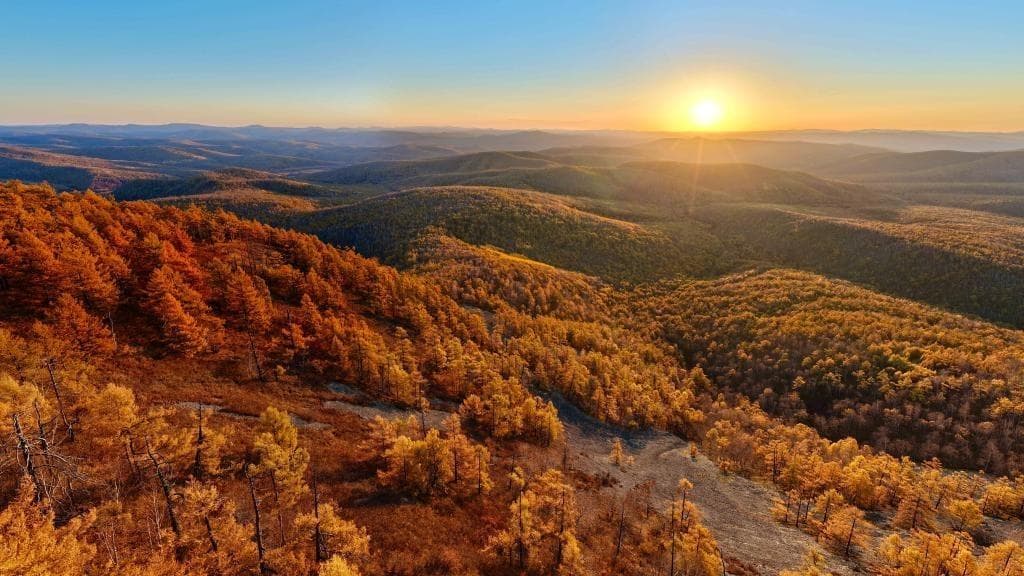 专家预测：中国“调色盘”增新绿带动经济发展