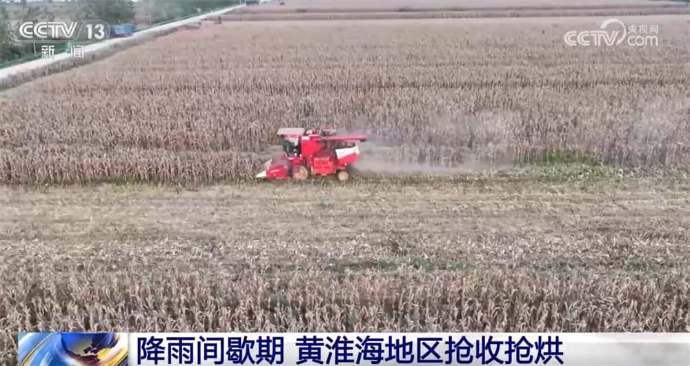 揭秘黄淮海地区秋粮保卫战背后的‘抢收神话’