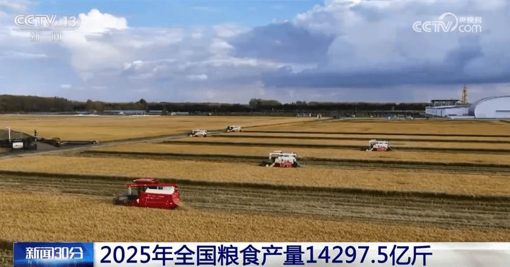 2026年“三农”工作重磅发力：专家解读中央农村工作会议精神