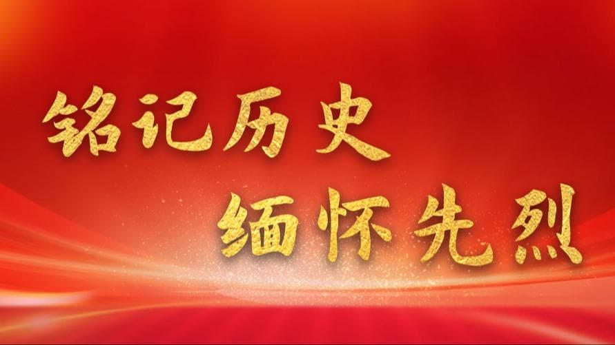 铭记历史 缅怀先烈丨戴安澜:永远振翅的‘海鸥’