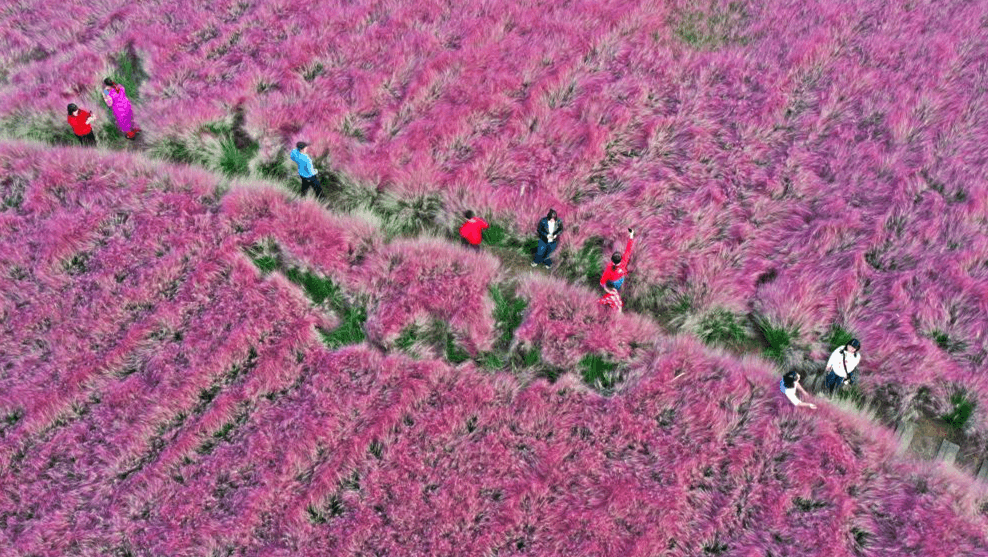 专家:今后每个假期国内出游人次将持续增长